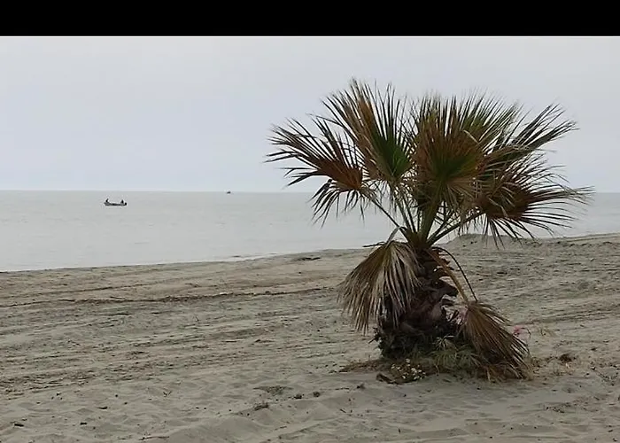 Case de vacanță Akis House Néa Meságkala